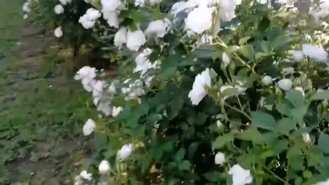 Летняя " ревизия" Евпатории - смотрим пляж, что творится на улицах и на ж/д вокзале ⚜️ сезон 2021