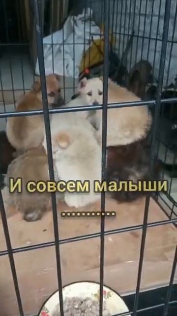 НE набрали на спасeниe из усыпалки! СПАСЛИ!