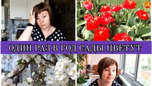 24-04-2025 СЫНОВЬЯ ПРИБОЛЕЛИ🤦ВСЁ В ЦВЕТУ🌺🌷🌼💮ВКУСНЫЙ САЛАТ😋ПЕРЕСАДИЛА ПОМИДОРЫ 🍅