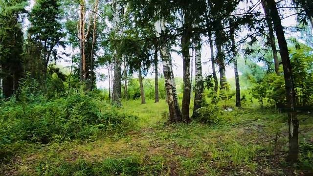 Водный поход по Истринскому водохранилищу | август 2024 смотреть онлайн