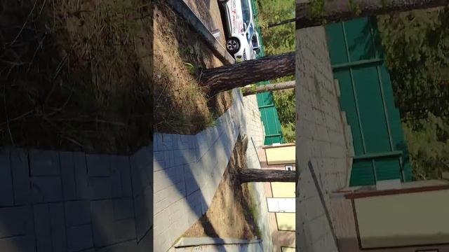 Новочебоксарск парк отель „лента” смотреть онлайн