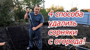 Как полностью УДАЛИТЬ СОРНЯКИ С ОГОРОДА - 4 работающих способа!