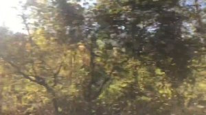 #раевская Переезд в станицу Раевскую. Краснодарский край.