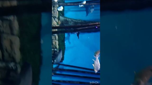 ВЛОГ. Путешествие по Москве часть 2 смотреть онлайн