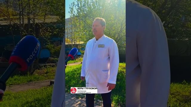 🌳 «Звёздочки» памяти: как в Самаре появился новый яблоневый сад