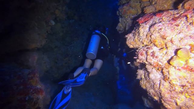 4k CAYMAN ISLAND SCUBA DIVING THE EAST END  OCEAN FRONTIERS
