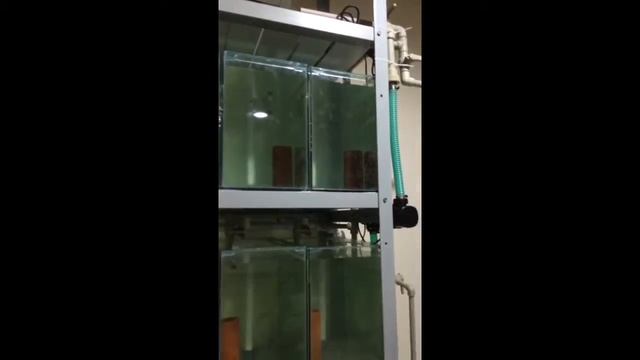 экспериментальная стойка смотреть онлайн