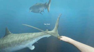 Stranded Deep НЕРАВНЫЙ БОЙ ИЛИ КАК СДЕЛАТЬ БИНТ #13