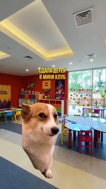 А как проходит ваш отдых с детьми?) смотреть онлайн