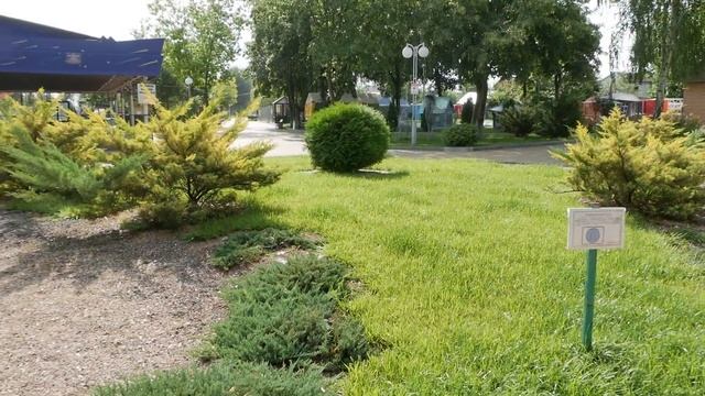 Кореновск. Зарисовка. Парковая сюита. смотреть онлайн