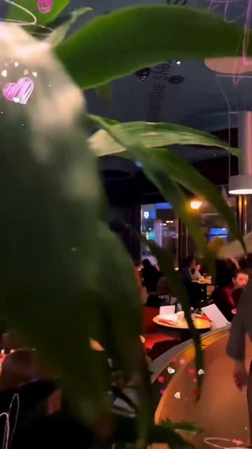 Вечер в «MEDUSA» #адлер #сочи #мандарин смотреть онлайн