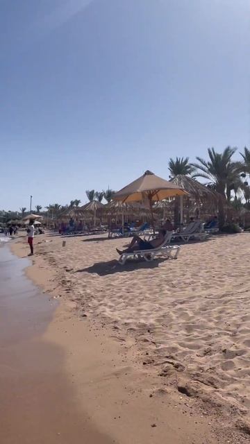Египет, Шарм эль Шейх#отдых#египет#море#shorts смотреть онлайн