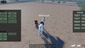 Конновлог/ Тренировка на Жёлтике.
Троеборье.