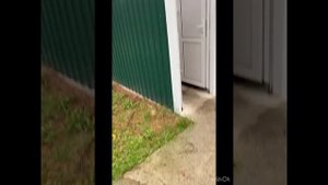 Санаторий Чемал Алтай. 2024 год.