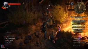 Ведьмак 3 "Улучшенные доспехов школы грифона 1 и 2". Где найти доспехи? - Прохождение миссии.