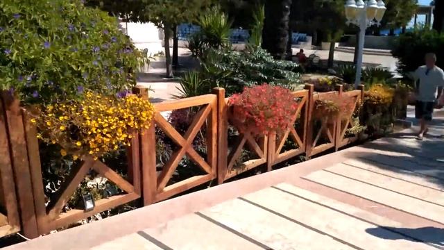 Алва Донна Кемер смотреть онлайн