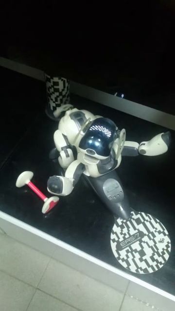 AIBO радуется смотреть онлайн