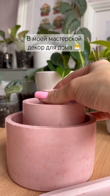 Пишите 🪴🐣 #plants #комнатныерастения #джунгливквартире #уютныйдом