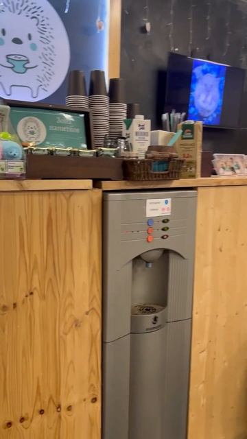 📍ЕЖЕМИНУТКА - первое антикафе с ёжиками в России 🦔 смотреть онлайн