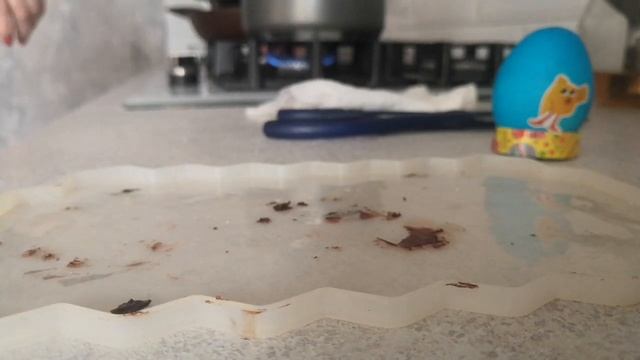 открыли ресторан фастфуд(3) смотреть онлайн