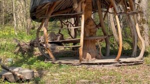 Отдых на прудах апрель 2025