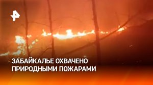Природные пожары охватили Забайкальский край / РЕН Новости
