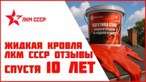 Жидкая кровля прошло 10 лет. Что с ней стало ?