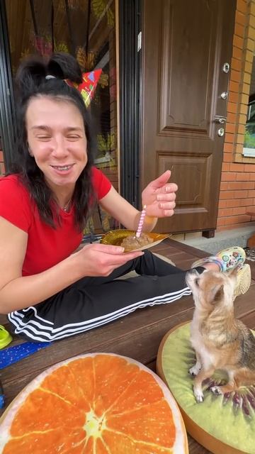 Лизок☺️ старенькая, беззубая, жадненькая собачулечка😅 С днём рождения! #моменты #юмор #самчуклена