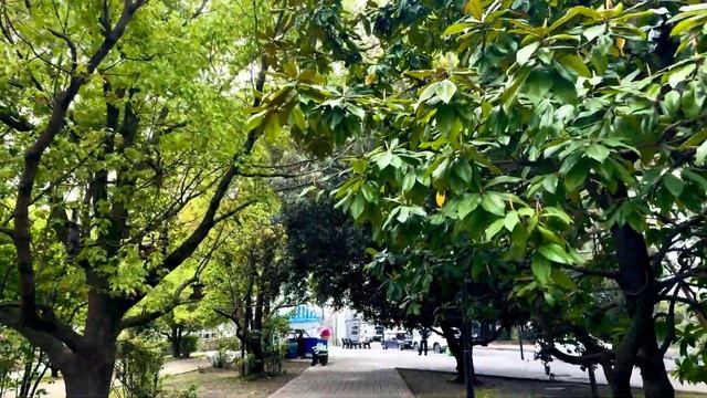 Обзор города Хоста Краснодарский край смотреть онлайн