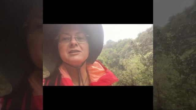 Трекинг в Гималаях . Пешком из Улери в Горепани смотреть онлайн