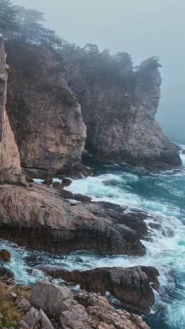 Мыс Сосновый и Кекур Штаны 🔥🌲📍 Хасанский район, Приморский край #shorts #travel #nature #adventure смотреть онлайн