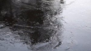 Река Вольга летом.