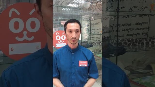 Отзыв о франшизе BookingCat смотреть онлайн