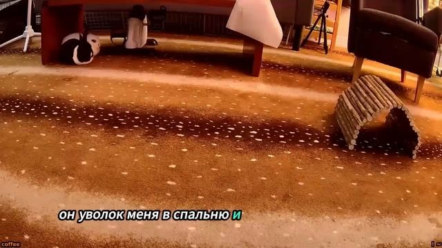 Какая история сегодня? смотреть онлайн