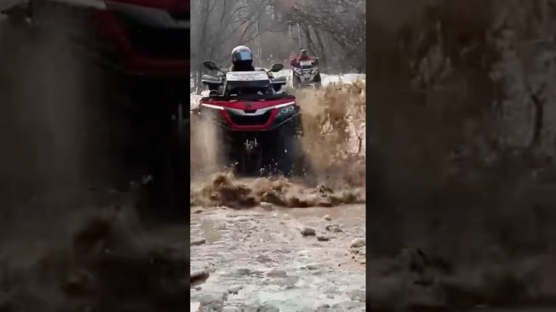 МОГУЧИЙ SHARMAX 1100 #motosnab #automobile #sharmax #motovlog #прохват #покатушки #квадроцикл #atv
