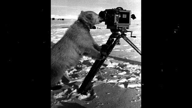 Otto. «ToBapuIII nanaHuH». Абакан, 2000 смотреть онлайн