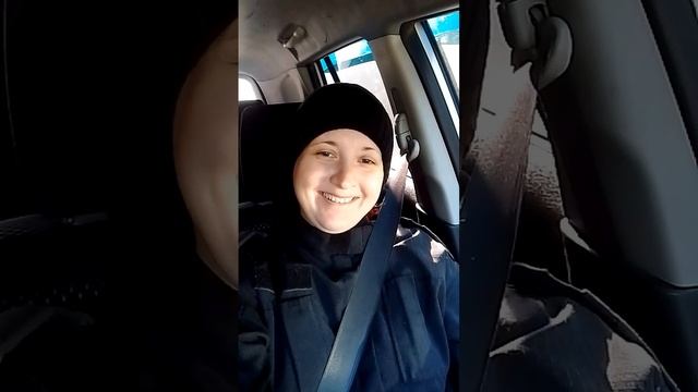 поехали в лес на разведку