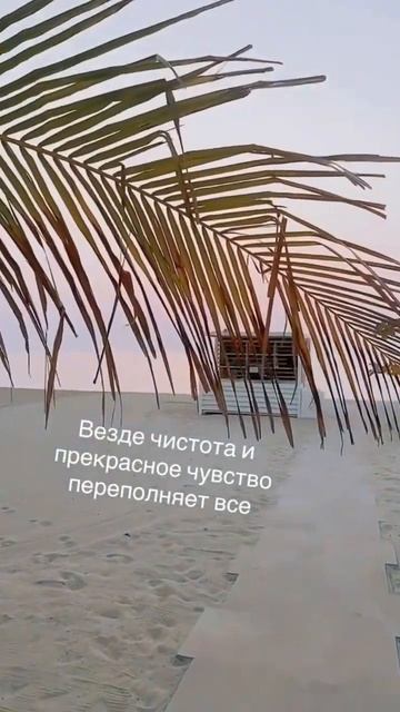 Пляжи Дубая — самые красивые пляжи в мире #дубай2023 #жизньвдубае #дубай