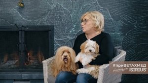 Секреты породы. Гаванский бишон // #приВЕТАХМЕД