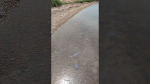 Отель Holiday  Бердянск Азовское море