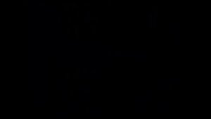 Dynasty Warriors 5 (Zhen Ji) Original Xbox HD Gameplay