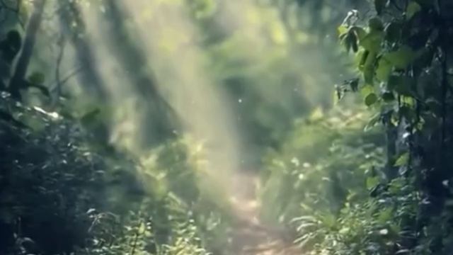 Видео4