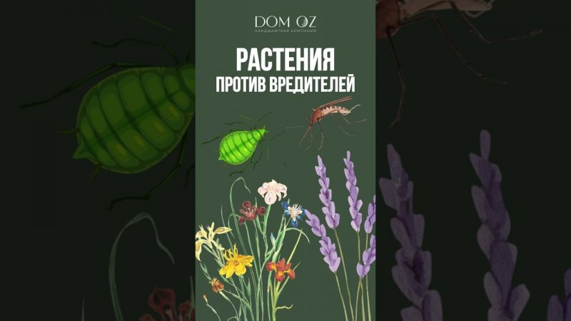ЗАКАЗАТЬ ПОСАДКУ РАСТЕНИЙ: +7(985)920-77-00 (WhatsApp, Telegram) https://domozmsk.ru