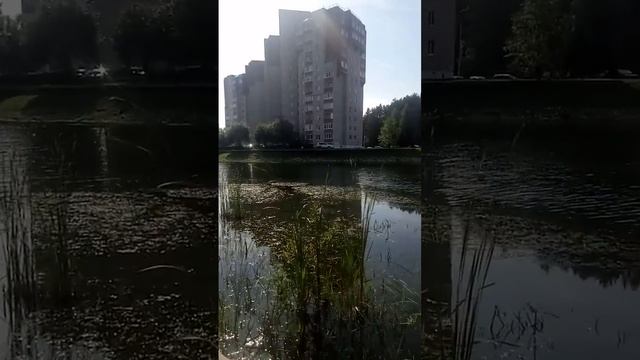 VID 20200827 122004зона отдыха! смотреть онлайн