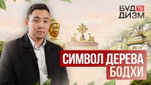 Выпуск 43 — Символ дерева Бодхи