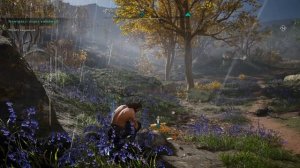 Легендарный норвежский топор "Медвежий коготь"