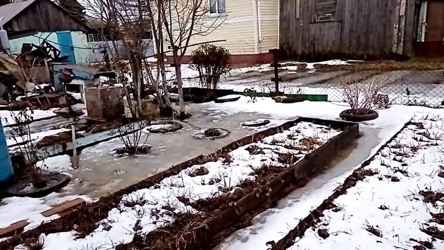 Телята растут, погода как в апреле! смотреть онлайн