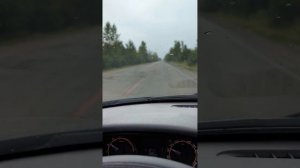 дорога Шацк Моршанск