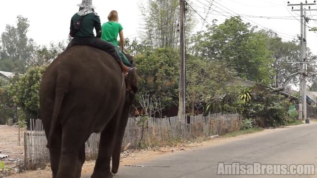 Таиланд. Пай. Катание на слоне. Thom Pai Elephant Camp. смотреть онлайн