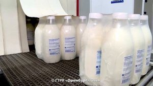 «Оренбургское село» от 3 августа 2024 года. Новосергиевский элеватор и молочный комбинат «Оломоло»